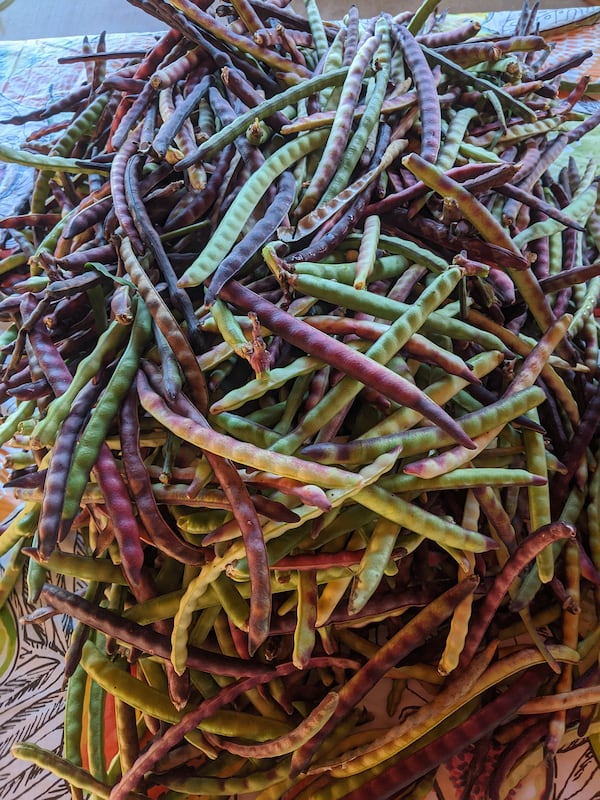 The Coweta County Farmers Market carries a wide range of vegetables in season, like these field peas in the shell that will be available in late summer.
Courtesy of Cynthia Jackson