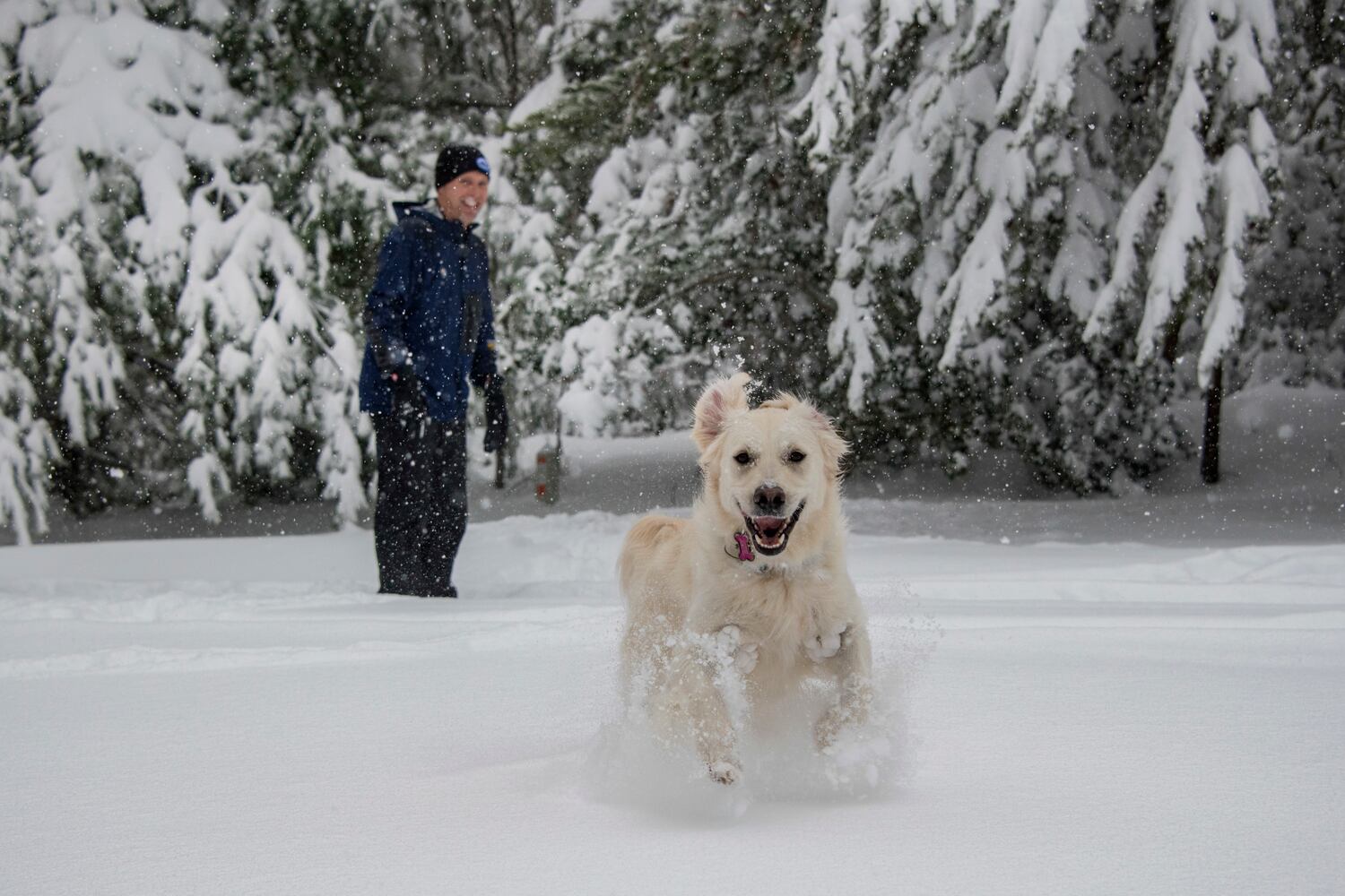 Photos: Winter storm blankets South in snow, ice