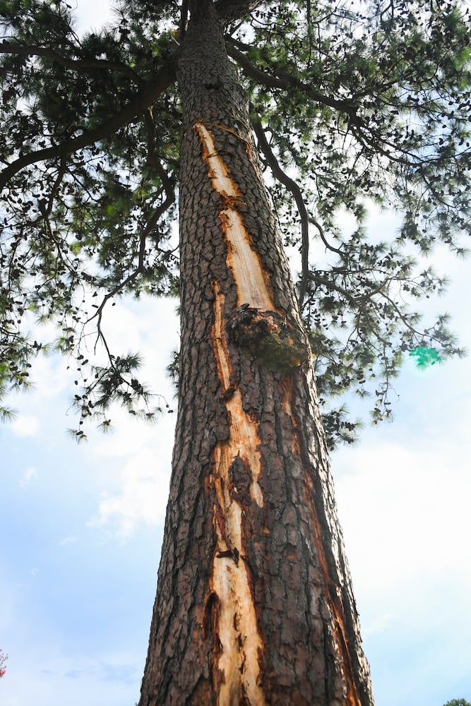 Photos: Lightning strikes during third round of Tour Championship