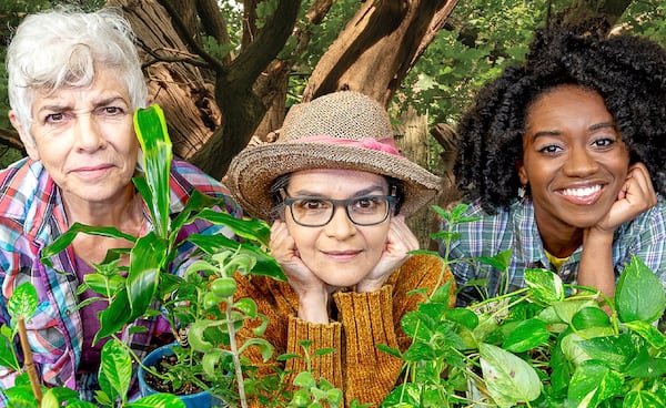 From left, Mary Lynn Owen, Maria Rodriguez-Sager and Jadé Davis star in Horizon's "Rooted." Photo: Shannel Resto