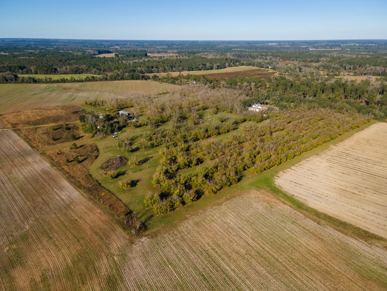 Still on the market, Historic Mill Rock Plantation listed under Georgia Trust’s ‘historic properties’