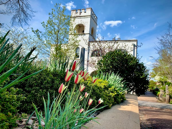 Find tulips and other spring flowers throughout the historic Oakland Cemetery.