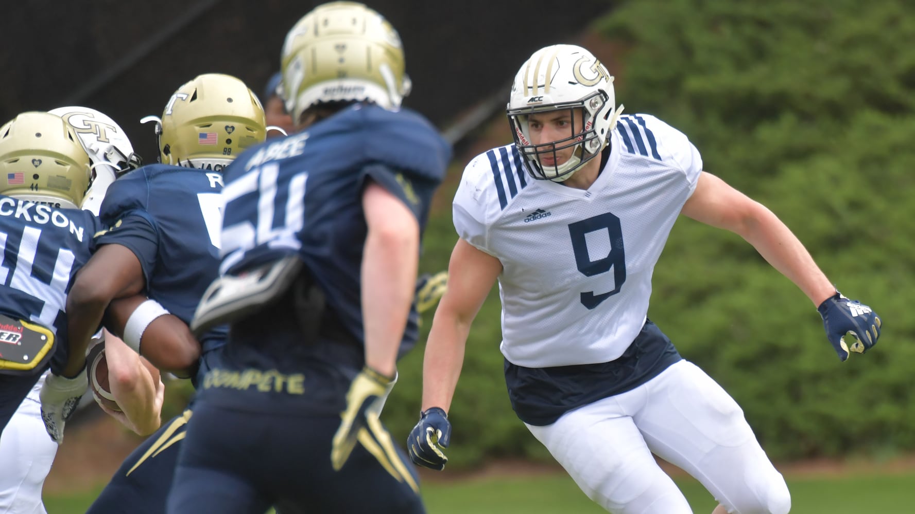 Georgia Tech Yellow Jackets