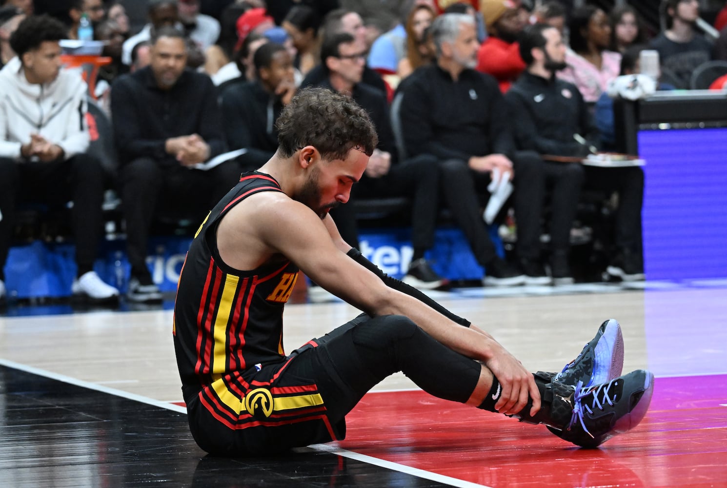 Hawks vs Hornets photo