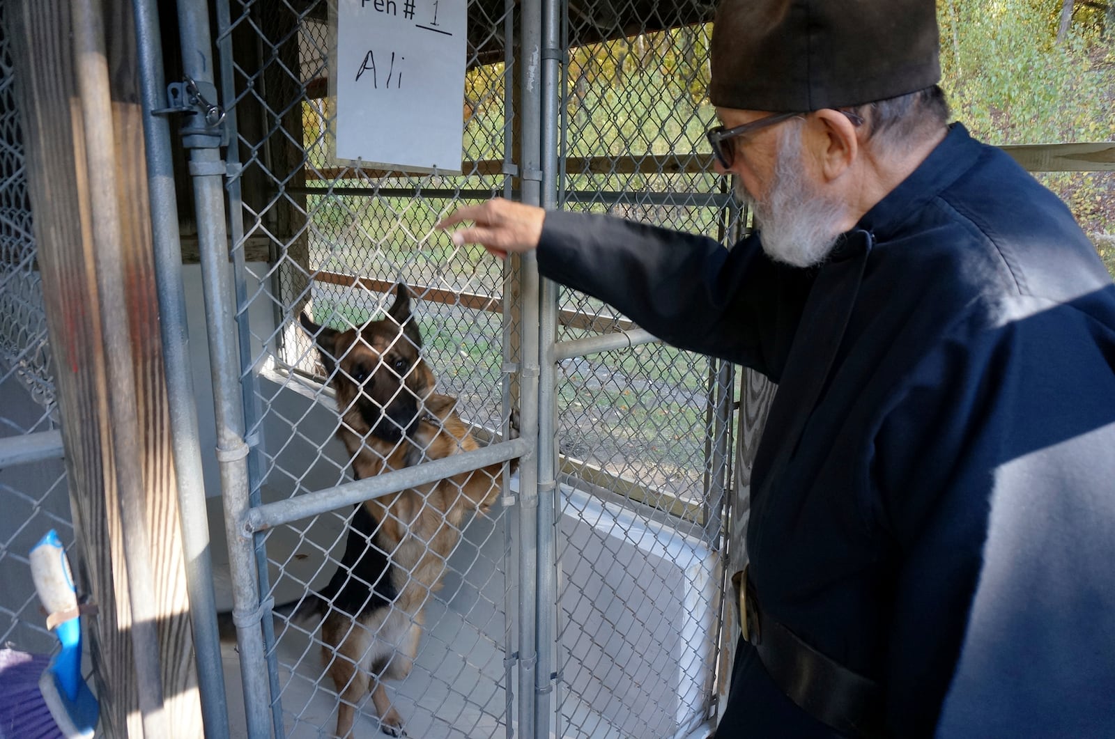 Brother Luke, an Orthodox Christian monk, plays with one of the dogs in the German shepherd breeding program he directs at New Skete monastery outside Cambridge, N.Y., on Oct. 12, 2024. (AP Photo/Giovanna Dell’Orto)