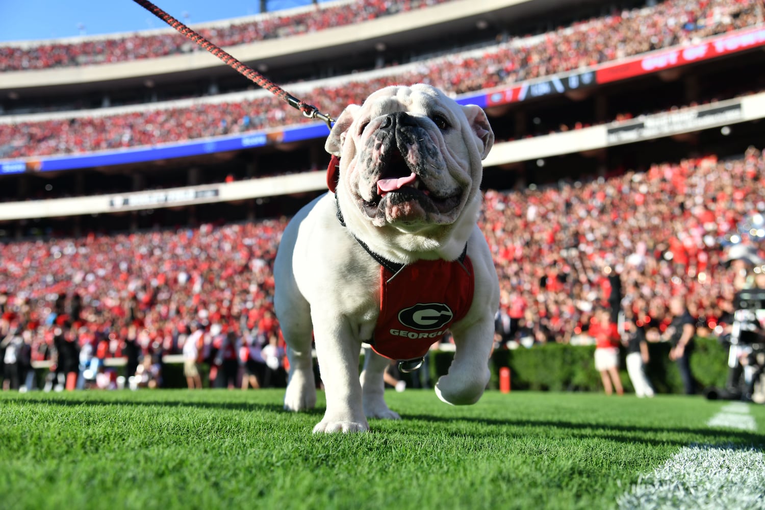 Georgia vs. UT Martin