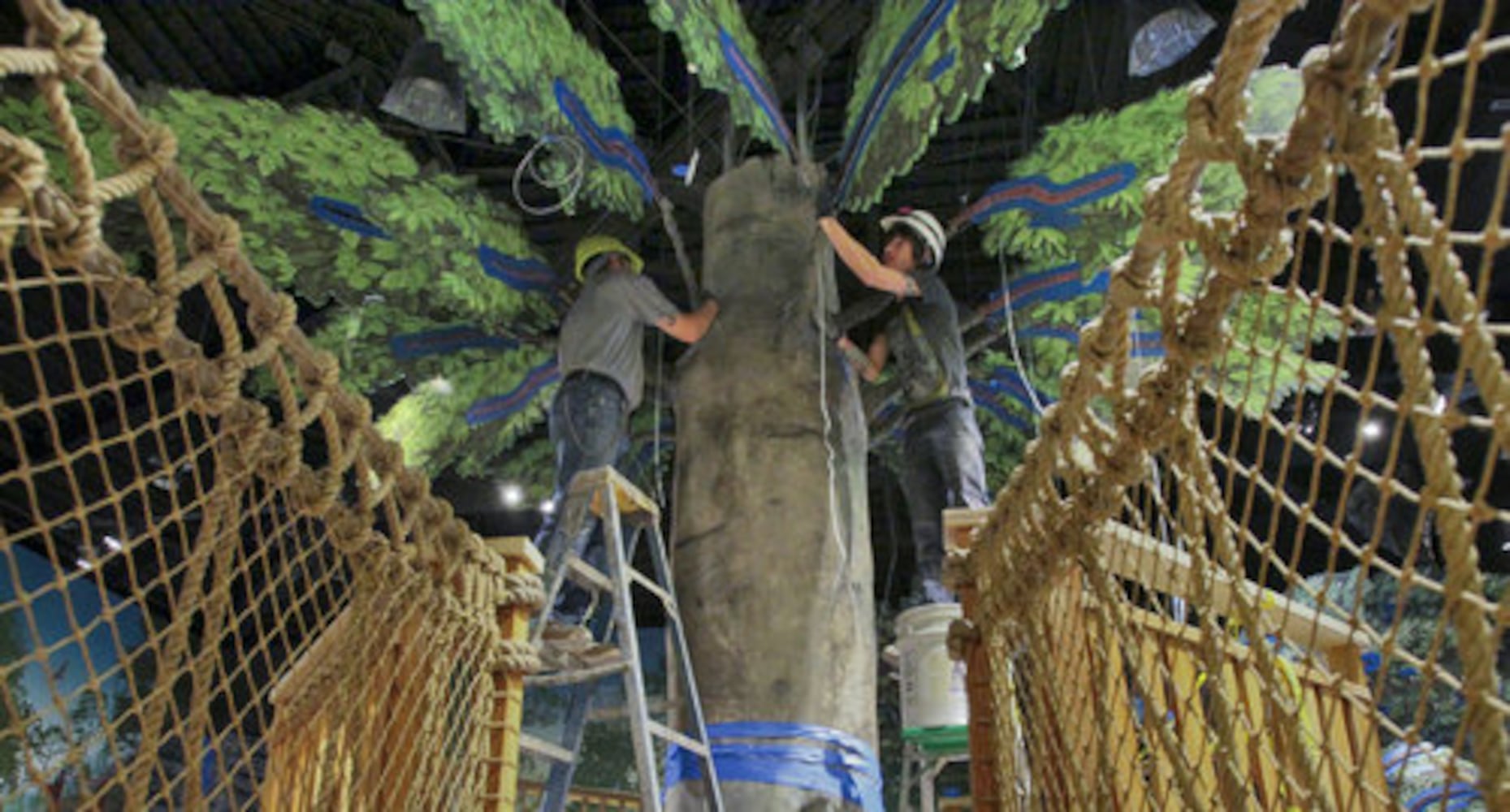 NatureQuest exhibit at Fernbank