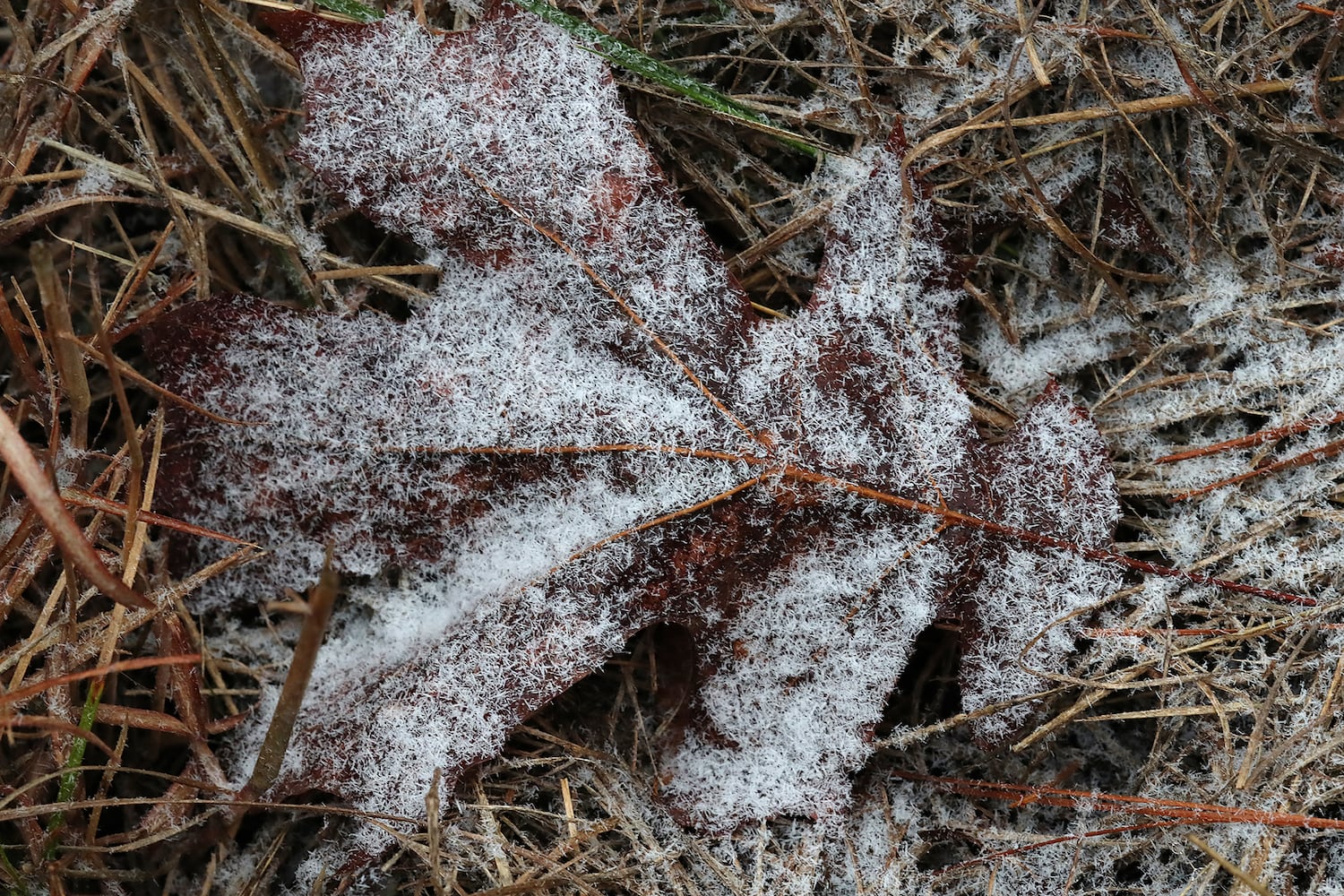 Snow and ice hit Atlanta