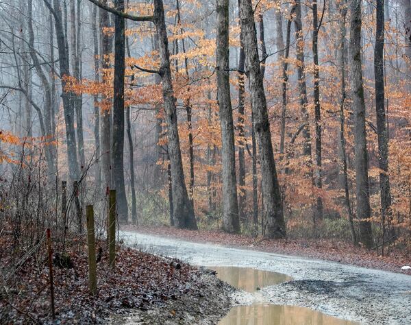 A University of Georgia study recently outlined the history and need for preservation of a tract of land in eastern Gwinnett that runs near GA 316.  The area includes about 2,000 acres and includes a farmhouse from 1894, a water well, one of the oldest dirt road in the state and several homesteads where only a chimney or dandelions remain as a marker on Thursday, Feb 3, 2022.  The Rowen Study suggests environmentally conscious development with trails and historical highlights.  (Jenni Girtman for The Atlanta Journal Constitution)