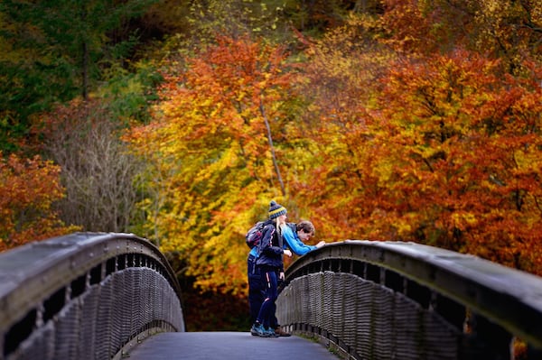 Fall colors may be slow to show themselves this year, but as the weather gets cooler, rich colors begin to emerge.