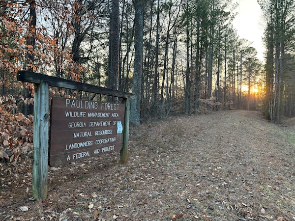 The city's forest tract in Paulding County is a "working forest" that has been managed by the state since 1975. It lies about 45 miles west north-west of downtown Atlanta. (Emma Hurt/AJC)