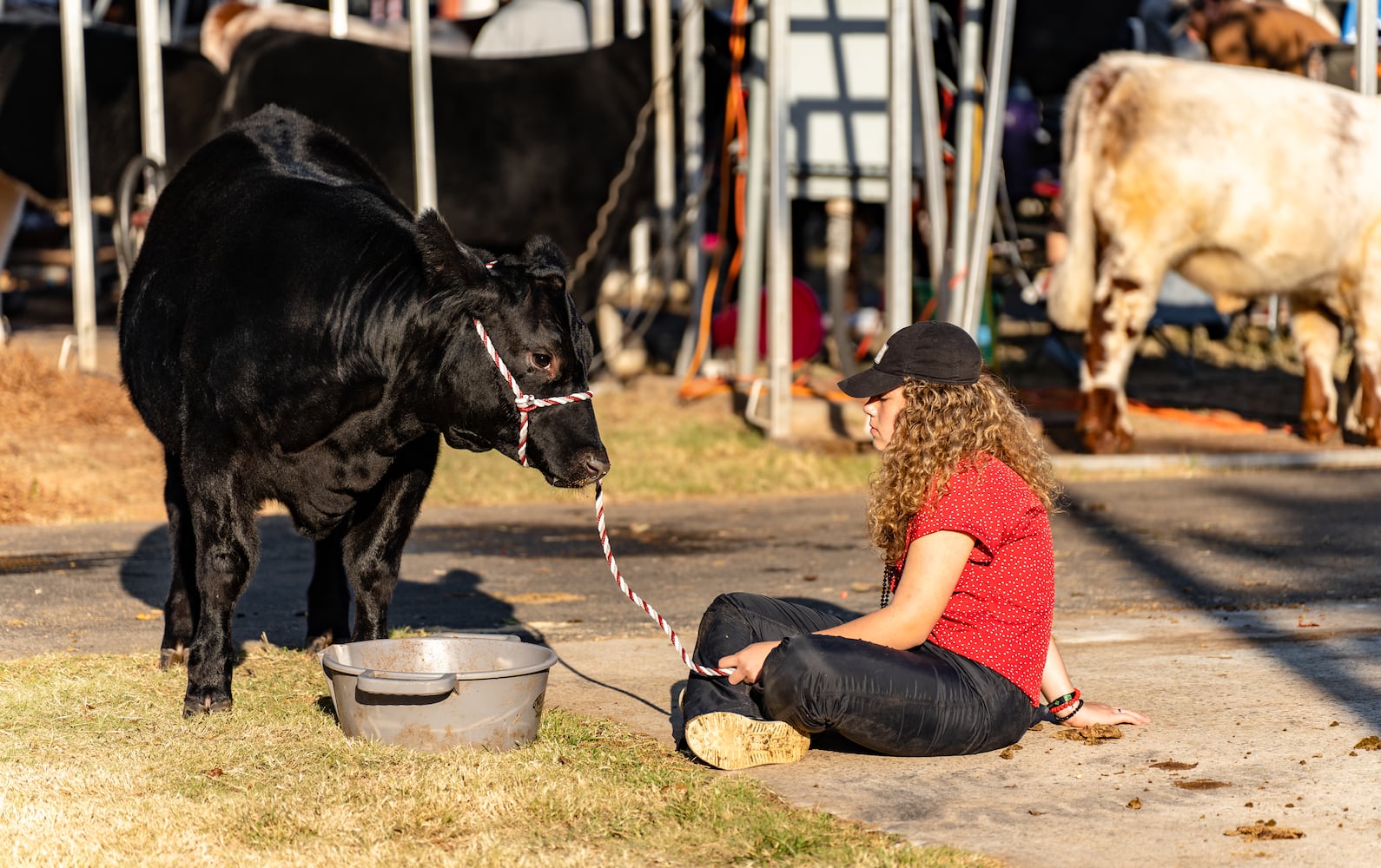 UGA Georgia Fair