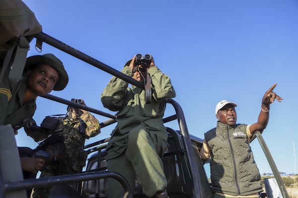 Rangers look on white rhinos during the annual wildlife count at Lewa Wildlife Conservancy, Northern Kenya, Thursday, Feb. 27, 2025. (AP Photo/Andrew Kasuku)