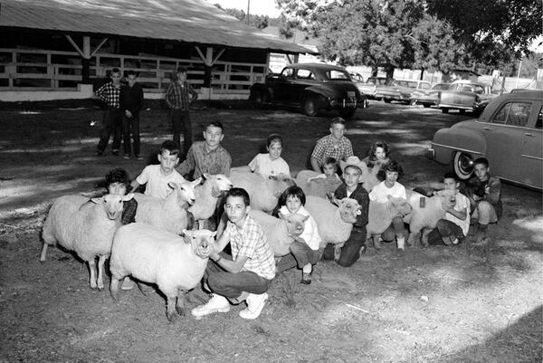 Athens children who were members of Future Farmers of America pose with their livestock at the 1961 Athens Agricultural Fair. (Courtesy of Johnny H. Kesler)