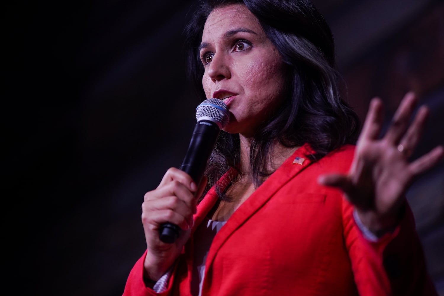 PHOTOS: Democratic presidential candidate Tulsi Gabbard in Atlanta