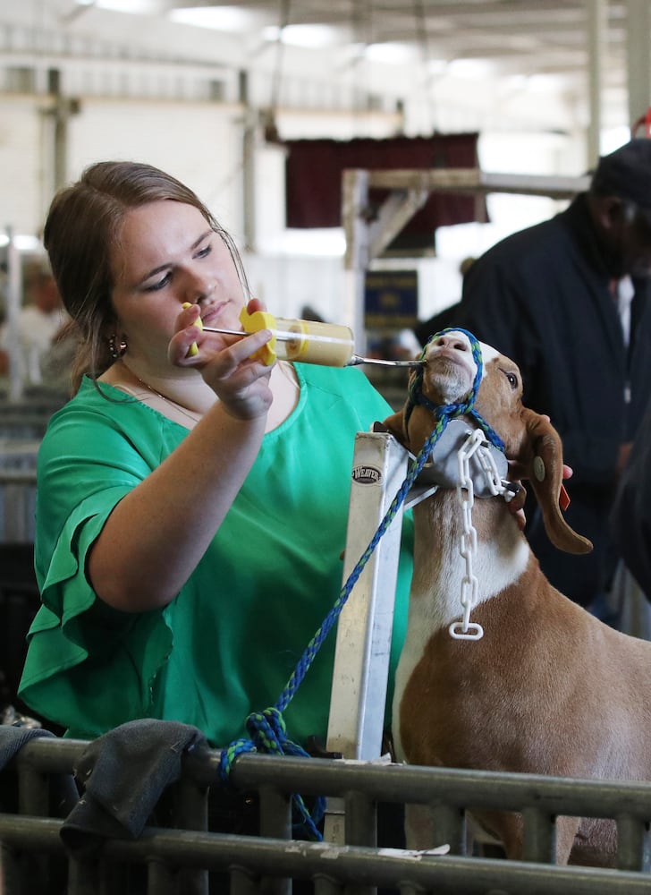 UGA Georgia Fair