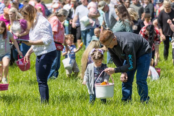 Families look for Easter eggs during the Easter egg hunt in Homer Saturday, April 1, 2023.  (Steve Schaefer/steve.schaefer@ajc.com)