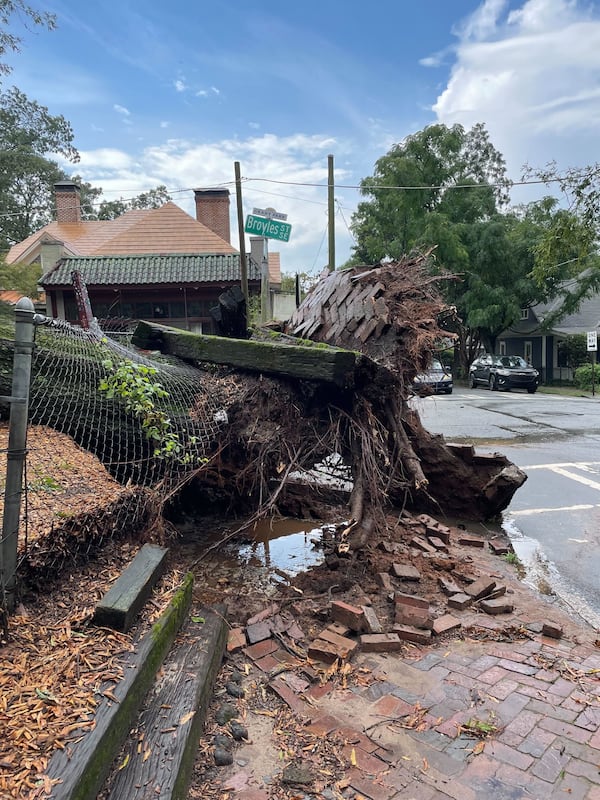 Strong storms brought down large trees in Grant Park Thursday afternoon. DREW KANN / AJC