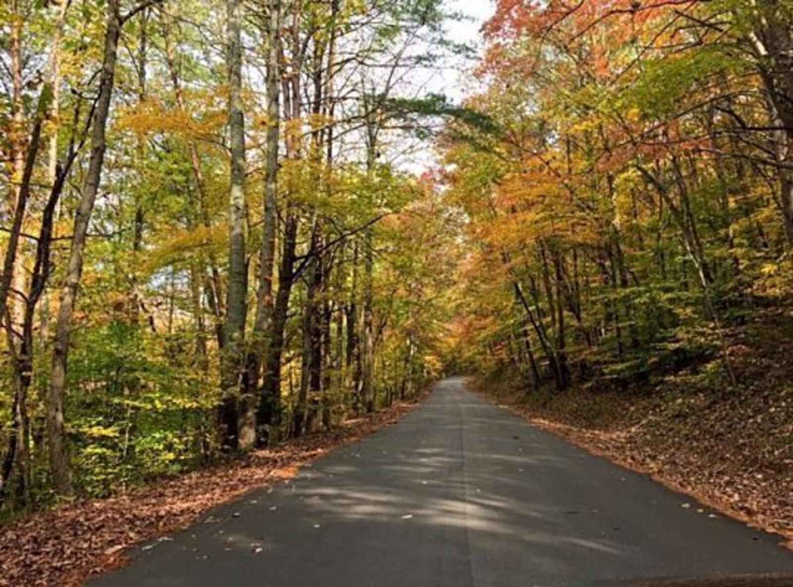 See Georgia autumn leaves on the way to Canyon Grill in Rising Fawn.