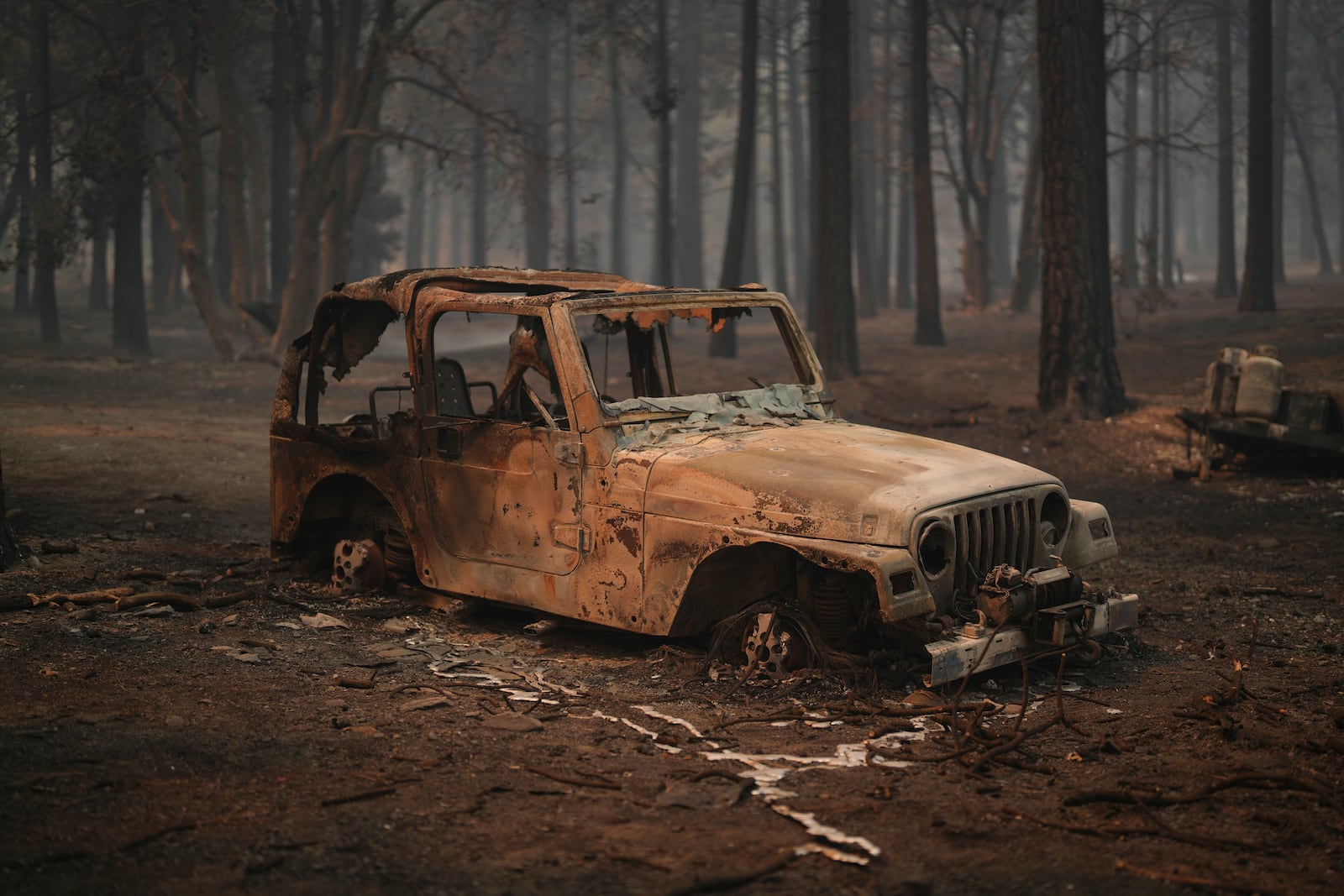 A vehicle and surrounding forest are burned after the Bridge Fire swept through Wednesday, Sept. 11, 2024, in Wrightwood, Calif. (AP Photo/Eric Thayer)