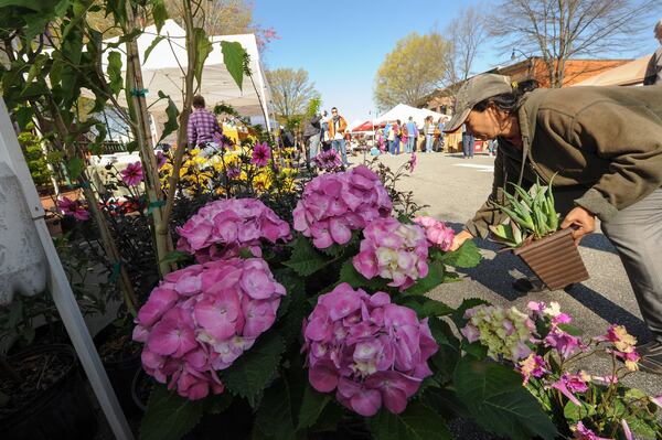 Marietta Square Farmers Market (shown last April) is open Saturdays all year and Sundays (noon-3 p.m.) in spring, summer and fall. CONTRIBUTED BY WWW.BECKYSTEIN.COM