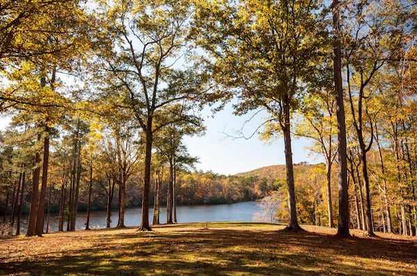 A view from the Lodge at Blue Springs, which played host to famous guests including President Franklin D. Roosevelt and three other U.S. presidents, was sold in late March to an undisclosed buyer. The home was developed by the Callaway family in the 1930s. SPECIAL to the AJC from Harry Norman Realtors.