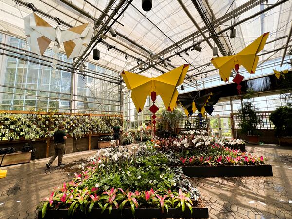 Most of the Origami in the Garden exhibit is outdoors, but these butterflies hang in the Fuqua Conservatory.
Courtesy of Atlanta Botanical Garden