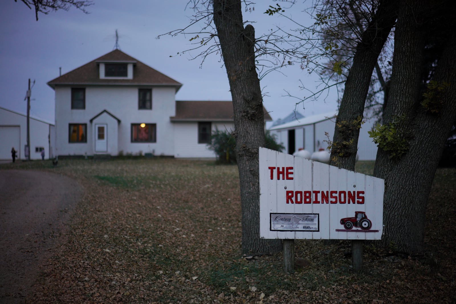 The home and farm of Julie and Randy Robinson, which has been in their family for 132 years, in Worthington, Minn., on Monday, Oct. 21, 2024. (AP Photo/Jessie Wardarski)