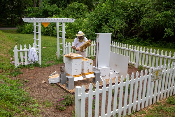 Tim Doherty is an assistant Principal at Fulton’s Riverwood High School and a veteran who found comfort in beekeeping as he transitioned back from military service.  PHIL SKINNER FOR THE ATLANTA JOURNAL-CONSTITUTION.