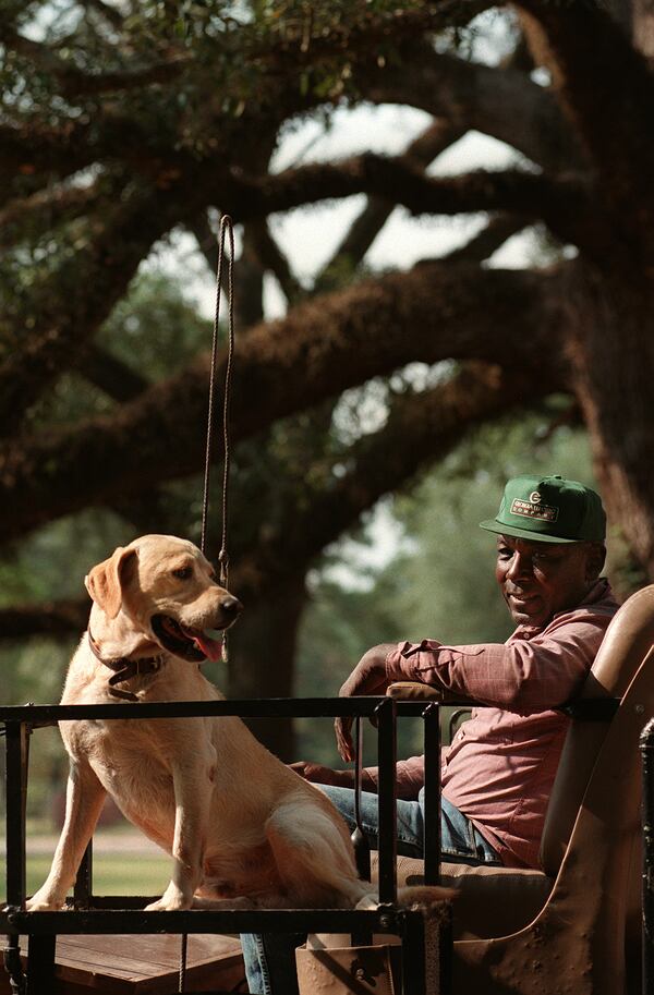 981102 PINEBLOOM PLANTATION, GA: J.L. Jackson (cq) has been driving the hunt wagon at Pinebloom Plantation since 1982. The mule-drawn wagon carries hunters and dogs into the woods for the quail hunt. Beau, a labrador retriever, rides shotgun. (JEAN SHIFRIN/staff)