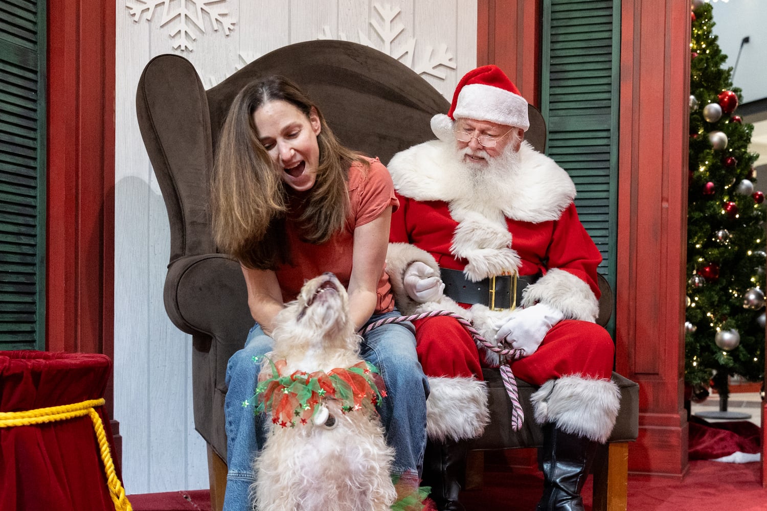 Pet photos with Santa evergreen
