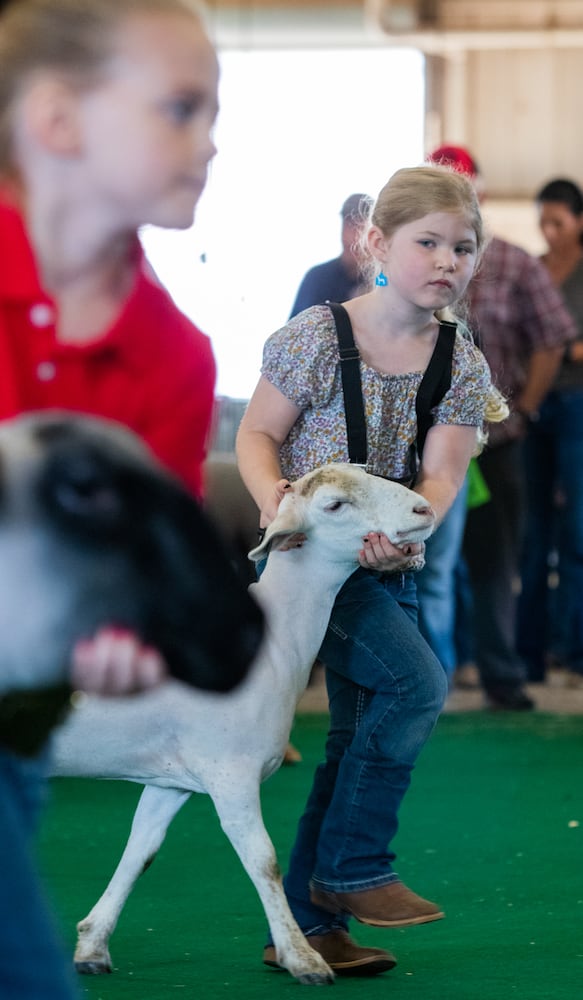 UGA Georgia Fair