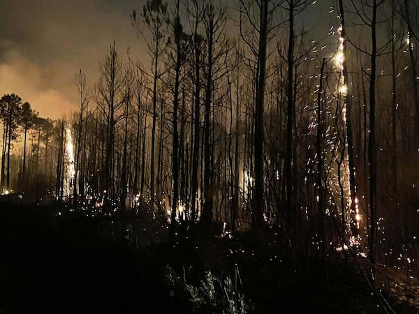 Teams continue to work to contain the fires in Horry County at Lewis Ocean Bay Heritage Preserve and Wildlife Management property in South Carolina, United States on March 03, 2025. (South Carolina Department of Natural Resources / HANDOUT via Getty Images)