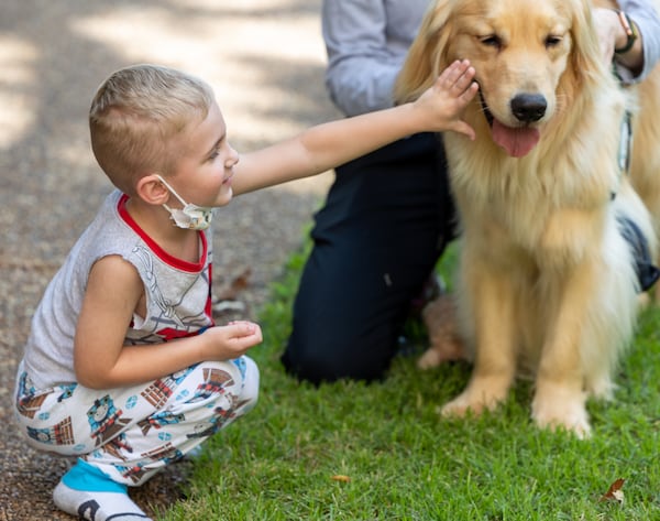 David Rogers, 4, pets therapy dog Reggie in the garden at Children's Healthcare of Atlanta Egleston in Decatur. 
PHIL SKINNER FOR THE ATLANTA JOURNAL-CONSTITUTION