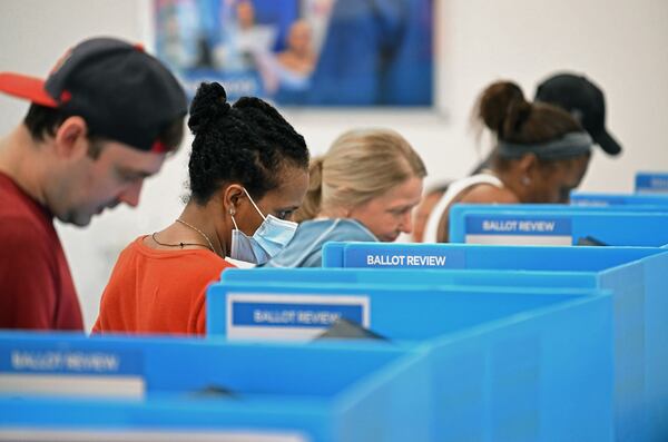 Gwinnett County voters cast their ballots in Lawrenceville on Wednesday.