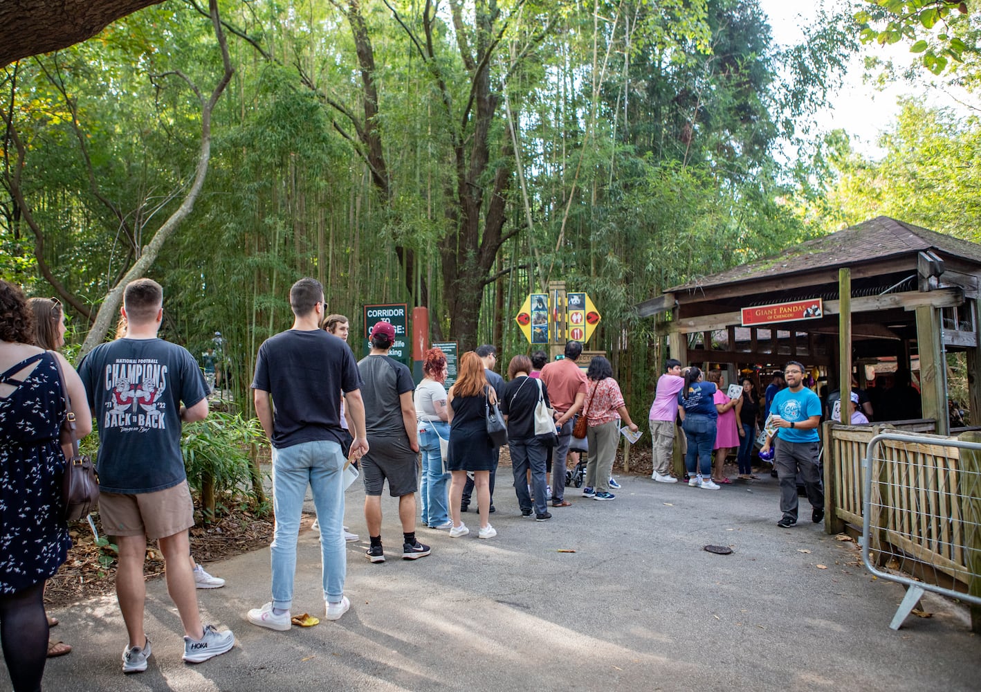 Giant Panda farewell as they go back to China