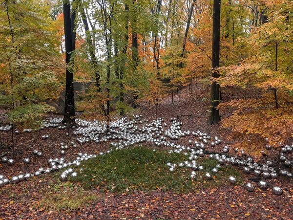 "Narcissus Garden," by Yayoi Kusama, is on loan to the Atlanta Botanical Garden and is installed temporarily in the Storza Woods section of the garden. CONTRIBUTED: ATLANTA BOTANICAL GARDEN