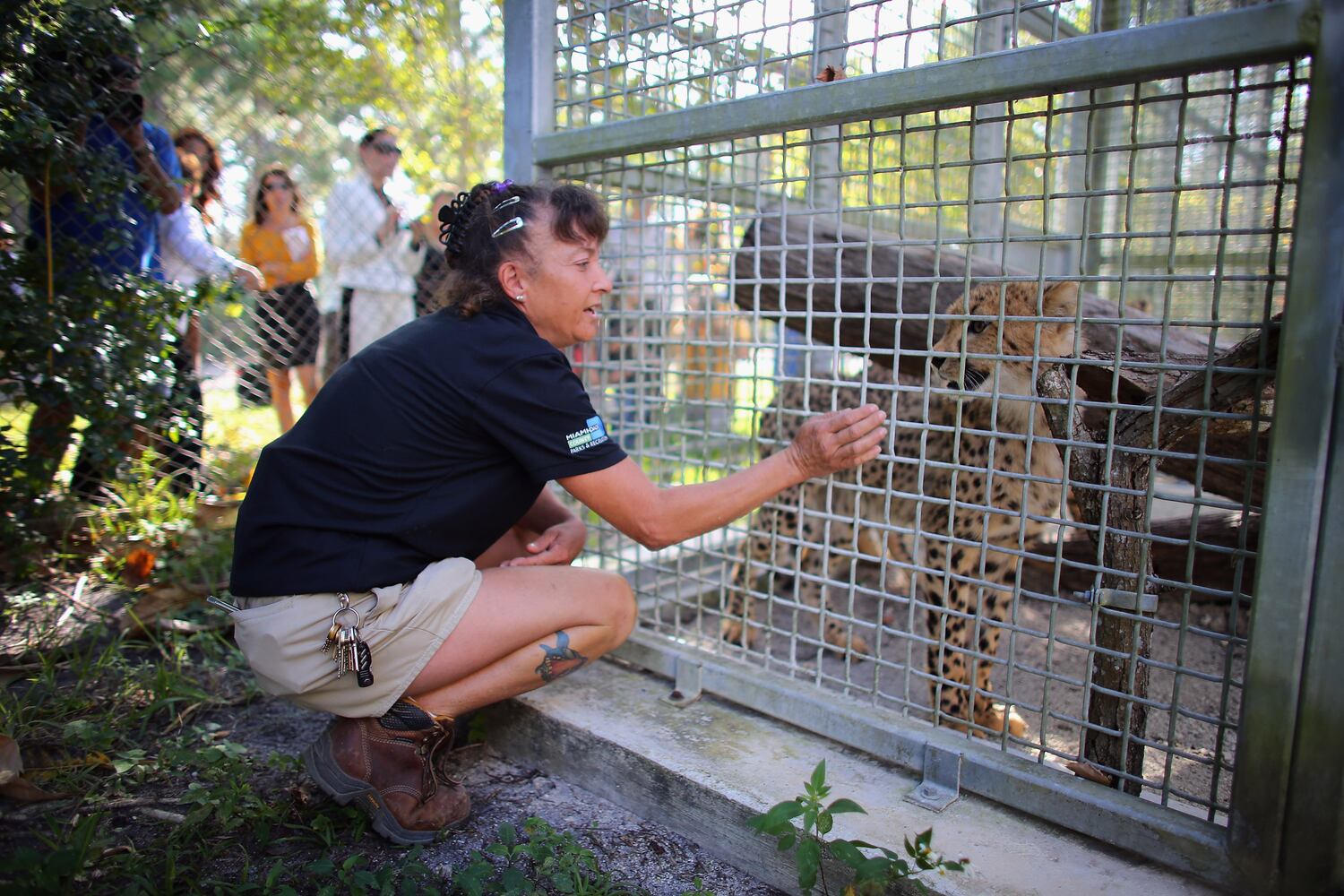 Zoo Miami