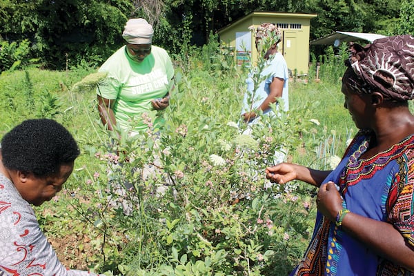 The farmers pick blueberries at the small farm where they’ve grown food for 12 years. (Courtesy of Dyana Bagby)