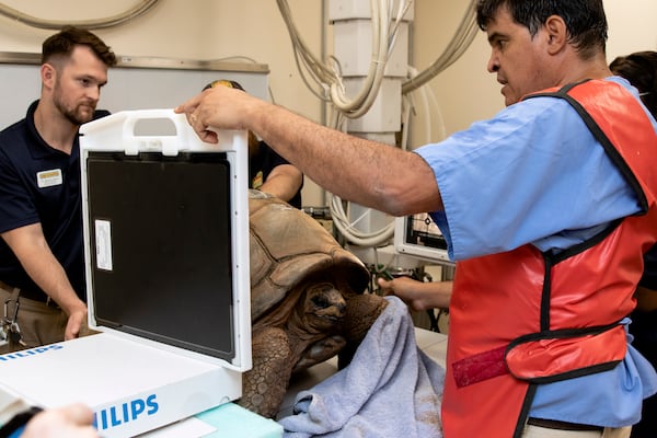 Dr. Sam Rivera, senior director of animal health at Zoo Atlanta, said the new facility will improve outcomes for the zoo's collection of 1,300 birds, reptiles and mammals. Photos: Zoo Atlanta