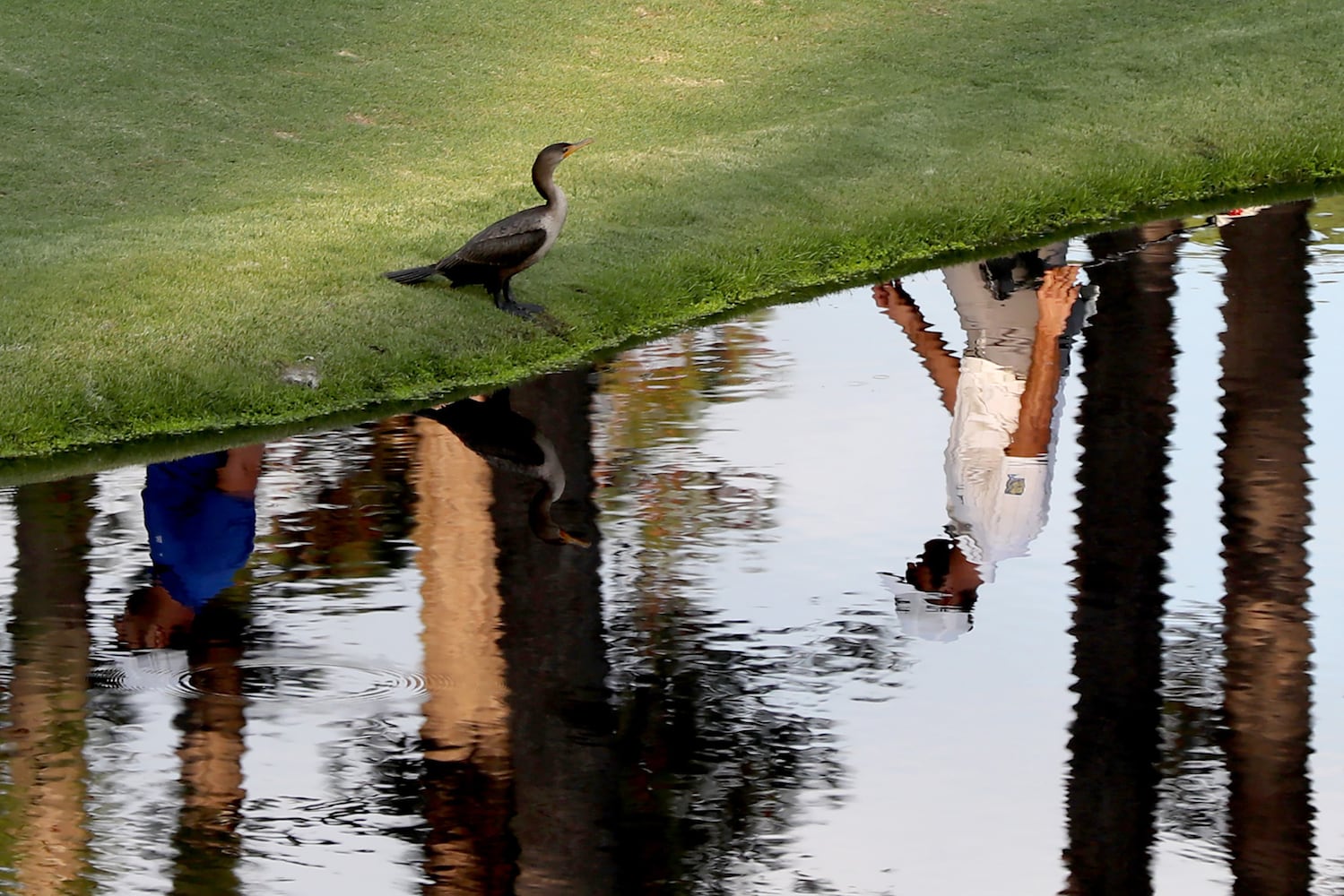 Masters, Augusta