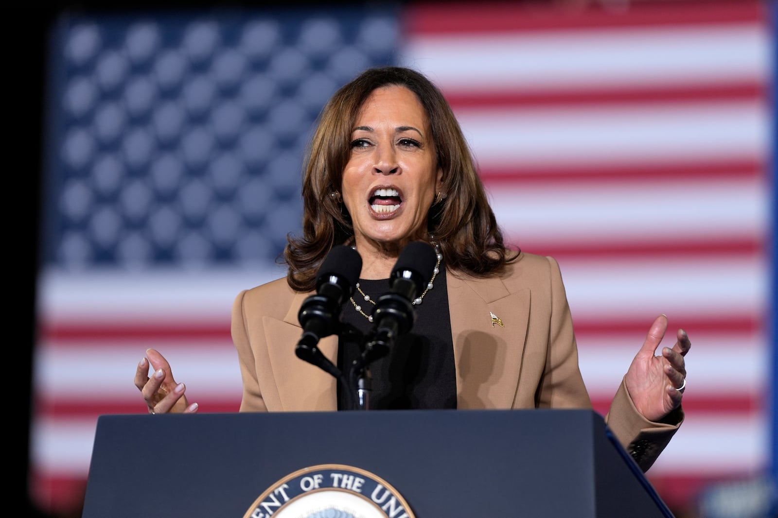 Democratic presidential nominee Vice President Kamala Harris speaks at a campaign rally at James R. Hallford Stadium, Thursday, Oct. 24, 2024, in Clarkston, Ga. (AP Photo/Julia Demaree Nikhinson)