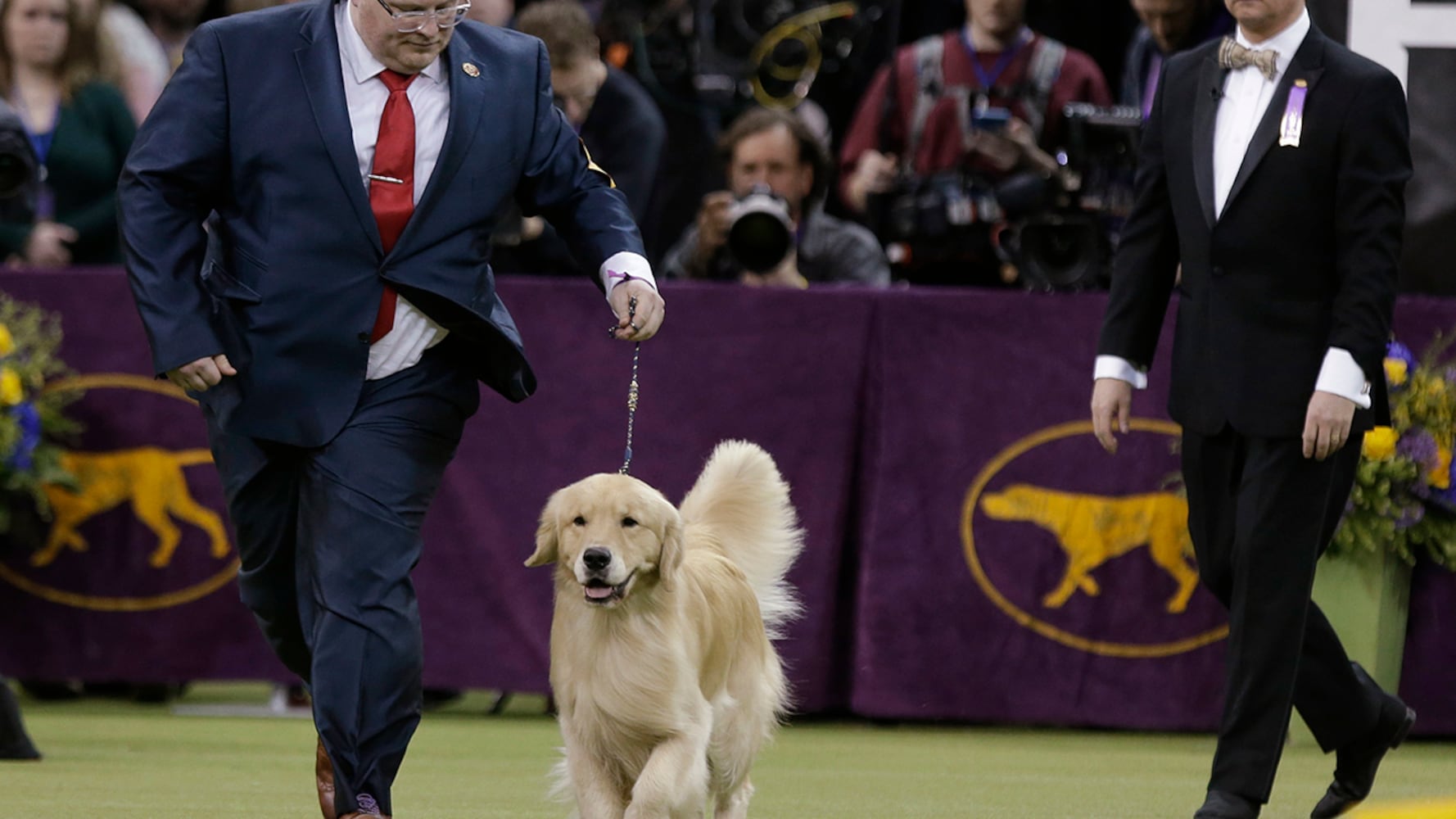 2019 Westminster Dog Show