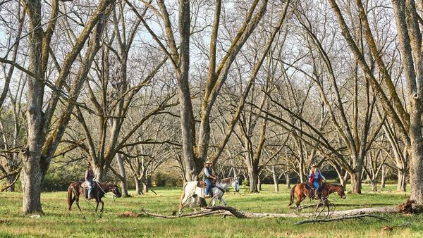 Quercus will offer guided trail riding as part of an all-inclusive stay at the property. Courtesy of Mammoth Studios