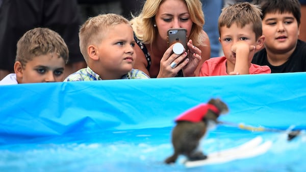 Spectators watch Twiggy, the water-skiing squirrel, perform outside U.S. Bank Stadium as part of X Fest in Minneapolis, Thursday, July 19, 2018. Twiggy's owner, Lou Ann Best, spends a substantial part of the performance educating spectators about water safety.