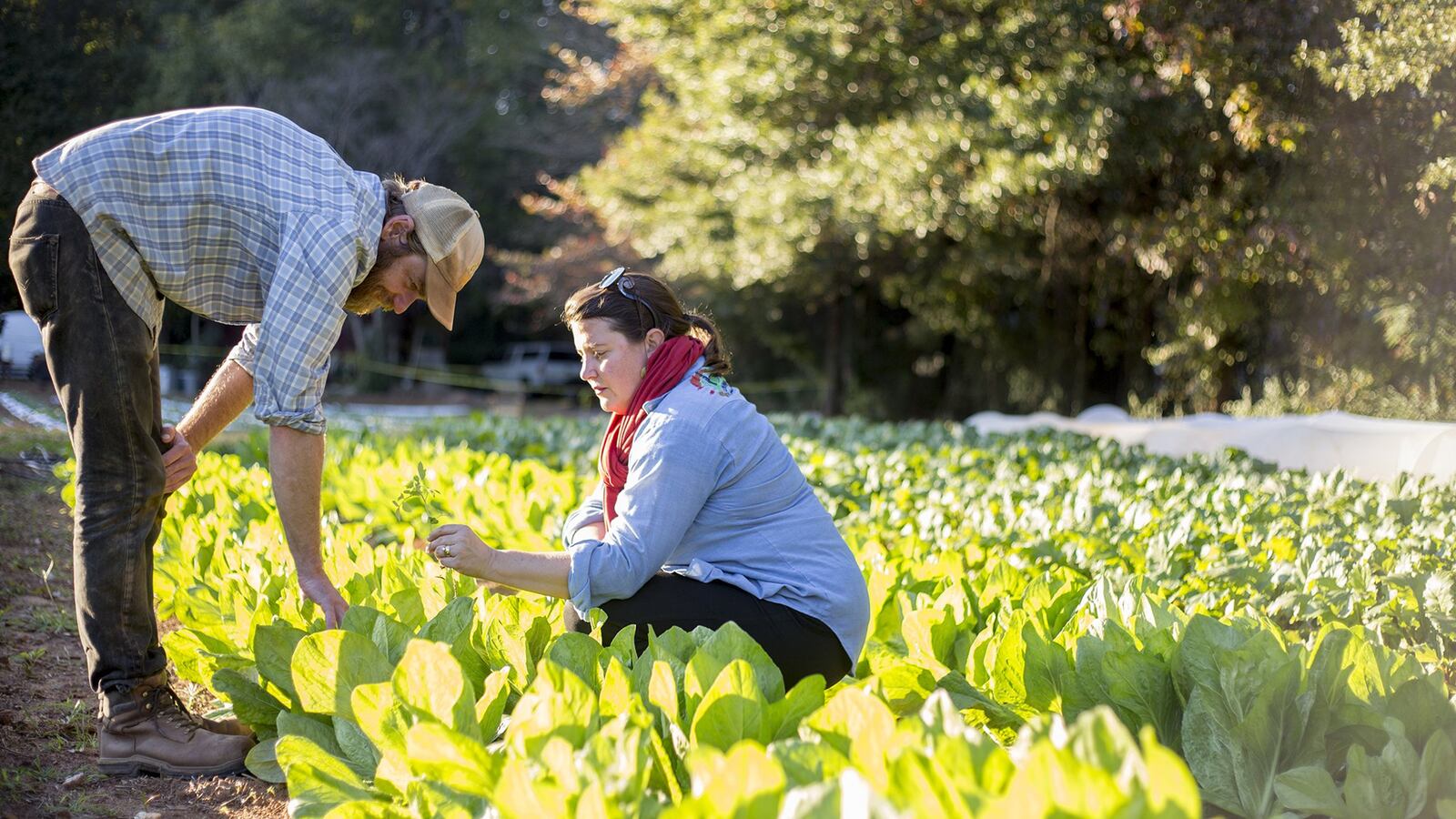 Judith Winfrey, president of Atlanta-based meal kit company PeachDish, and her husband, Joe Reynolds, founded Love Is Love Farm in 2008. They employ and mentor young farmers in their farm at Gaia Gardens in Decatur.