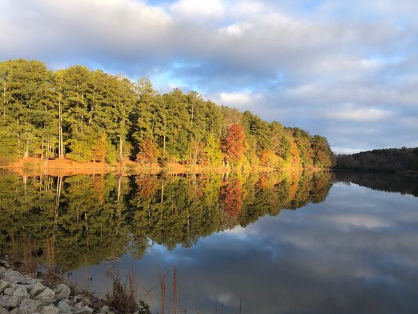 Ting-Chung Suen photographed this early peaceful Saturday’s morning at Murphy Candler Lake.