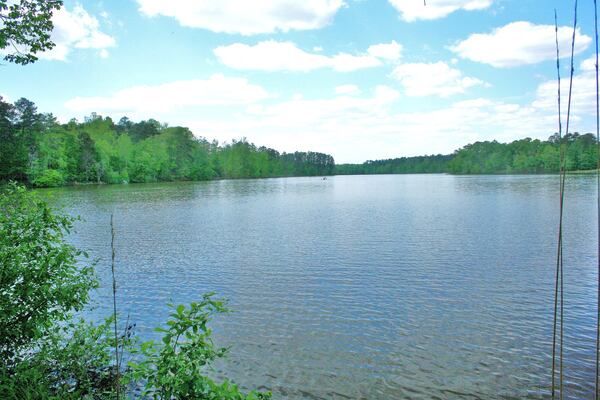 Nature’s sounds of summer abound along the shores of the 275-acre Lake Rutledge in Hard Labor Creek State Park in Morgan County, about a 45-minute drive east of Atlanta. CONTRIBUTED BY CHARLES SEABROOK