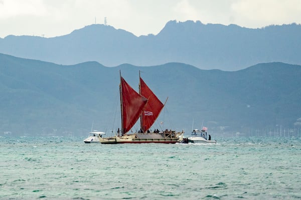 Hokulea sails into the shore of Kualoa Regional Park before its Hokulea's 50th birthday commemoration, Saturday, March 8, 2025, in Kaneohe, Hawaii. (AP Photo/Mengshin Lin)