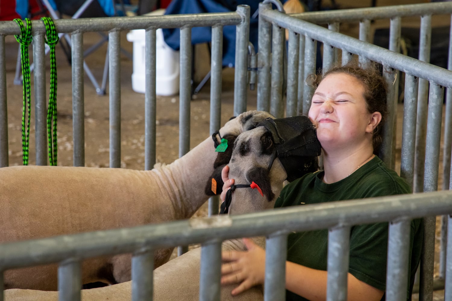 Georgia National Fair